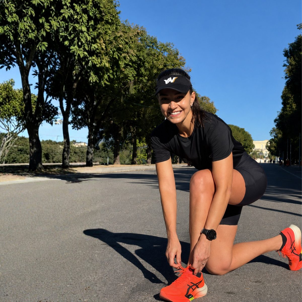 Treino VN Trainer